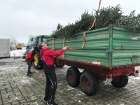 Christbaumaktion 2019